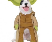 Yoda Pet Costume
