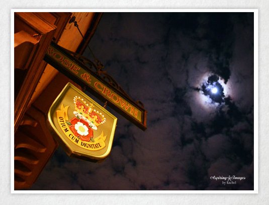 1-rose and crown in moonlight