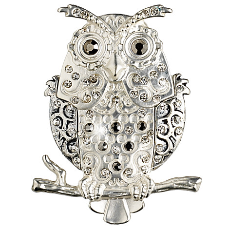 Disney Parks Owl Brooch