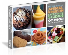 Disney Food Blog Guide to Animal Kingdom and Hollywood Studios Snacks