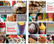 Disney Food Blog Snack Books Bundle