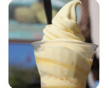 Dole Whip Coaster Set