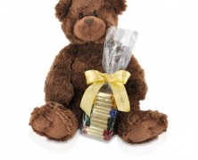 Ghirardelli Bear and Chocolate Squares