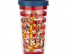 Disney Cruise Line Tervis Tumbler